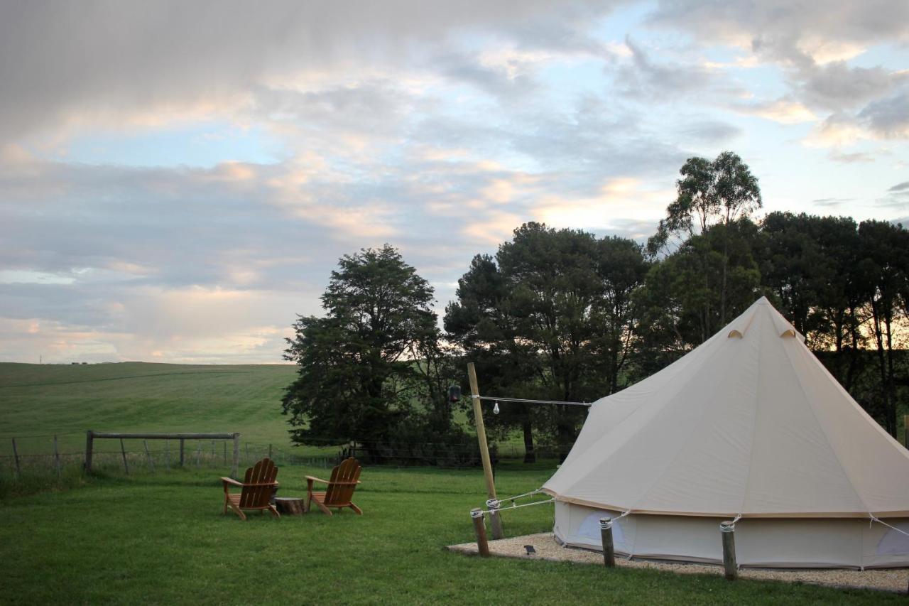 Pine Country Caravan Park Mount Gambier Exterior photo