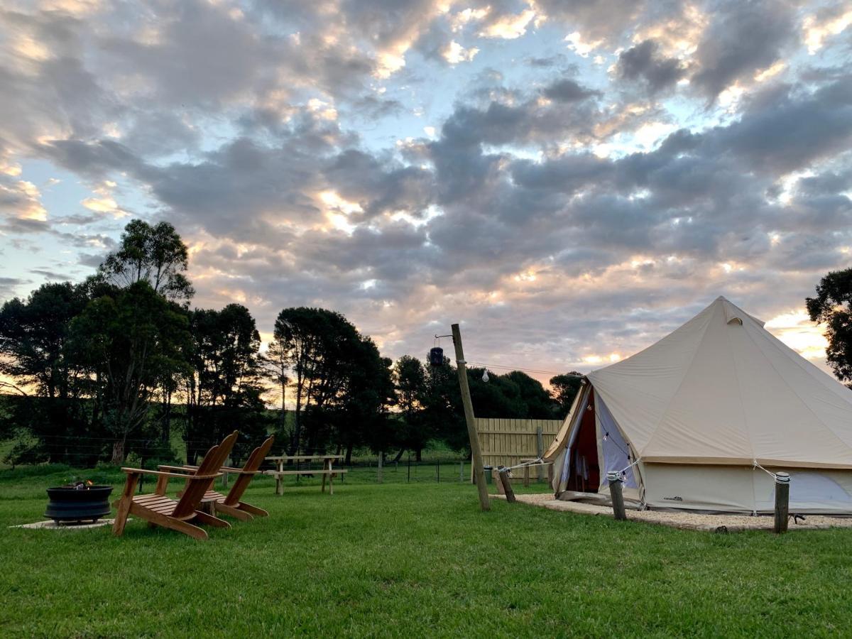 Pine Country Caravan Park Mount Gambier Exterior photo